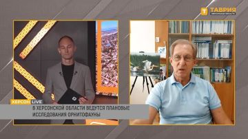 Около 5 миллионов птиц в ходе миграции остаются на водоемах Херсонской области, рассказал Валерий Сиохин