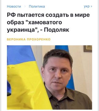 Енот из Херсона: Реальное воплощение мема про украинские шаровары, в которые маскаль нагадил
