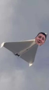 Сеть заполонили мемы. Енот из Херсона