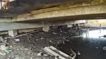 Ликвидация двух военнослужащих ВСУ ударом FPV-дрона ВС РФ, которые прятались под мостом