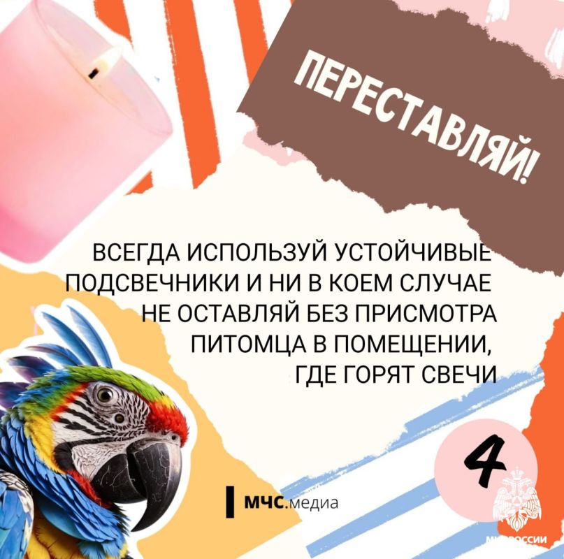 Чтобы котята были в безопасности Чтобы котята были в безопасности