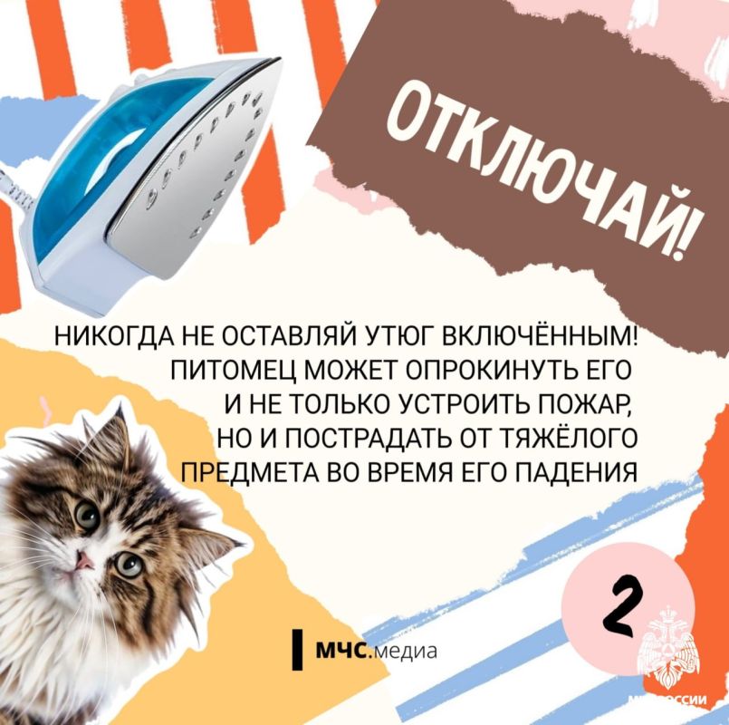 Чтобы котята были в безопасности Чтобы котята были в безопасности