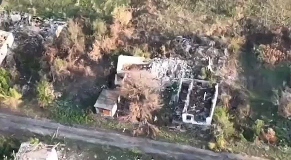 ��������� �������: �� ������ ���� ����� ���������� ���� �� ����������