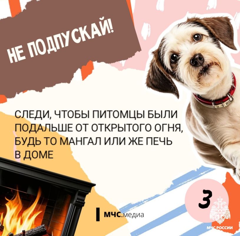 Чтобы котята были в безопасности Чтобы котята были в безопасности