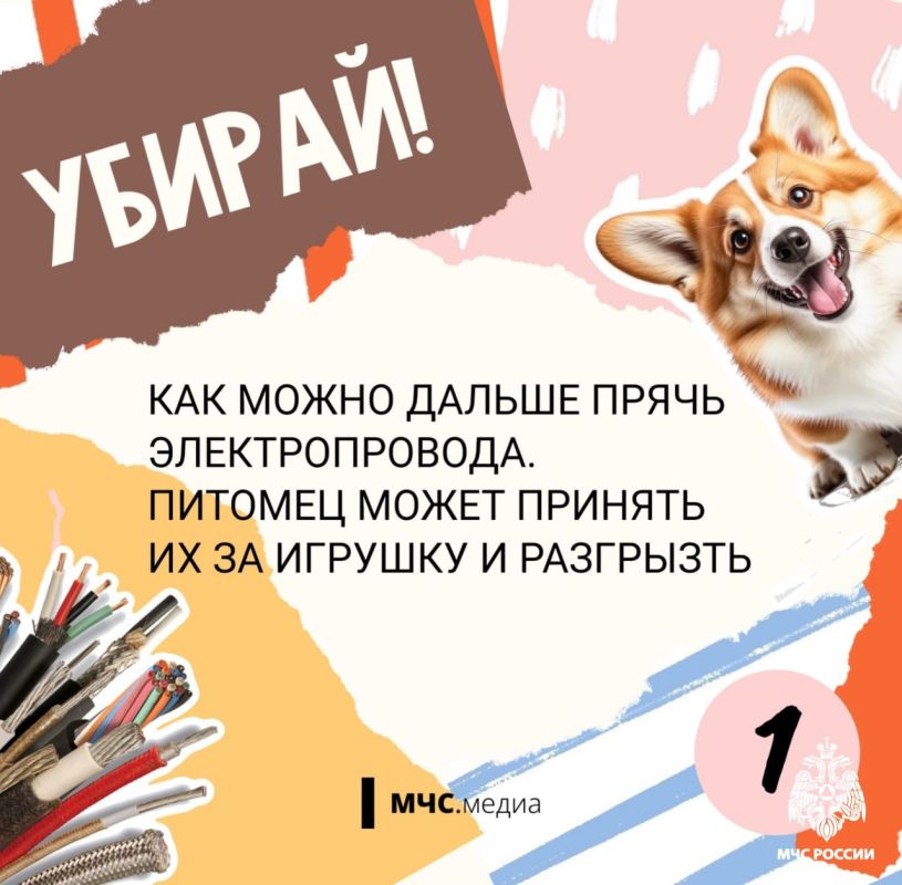 Чтобы котята были в безопасности Чтобы котята были в безопасности