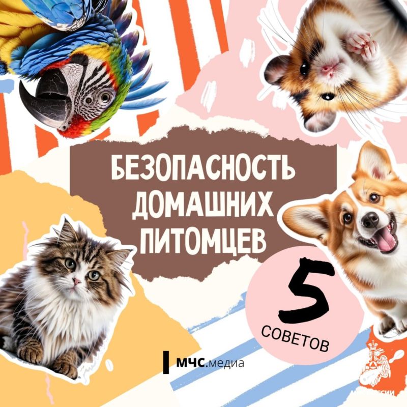 Чтобы котята были в безопасности
