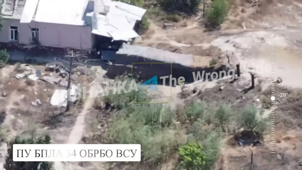 ���� ��������: �� ������ ���������� ���������� ������ ���������� ���� ���