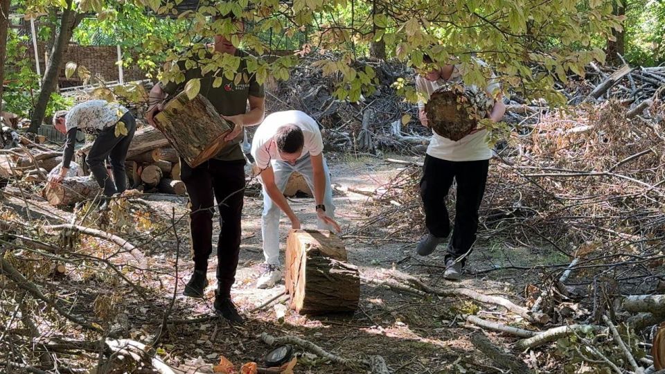Порубочные остатки из парков Симферополя третий год передают на фронт для обогрева бойцов Порубочные остатки из парков Симферополя третий год передают на фронт для обогрева бойцов