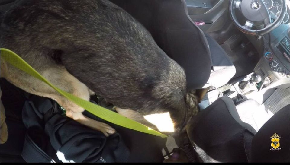 В селе Сальково у водителя и пассажира "Шевроле Авео" нашли тайники с синтетическим наркотиком В селе Сальково у водителя и пассажира "Шевроле Авео" нашли тайники с синтетическим наркотиком