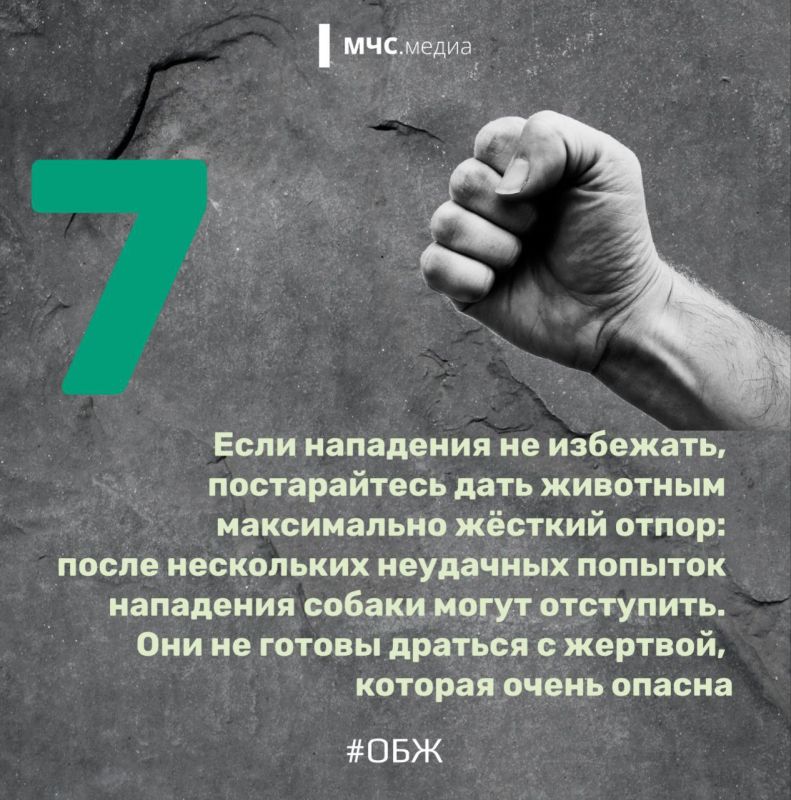 Когда собака — враг человека Когда собака — враг человека