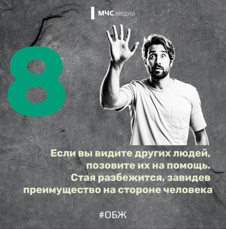 Когда собака — враг человека Когда собака — враг человека