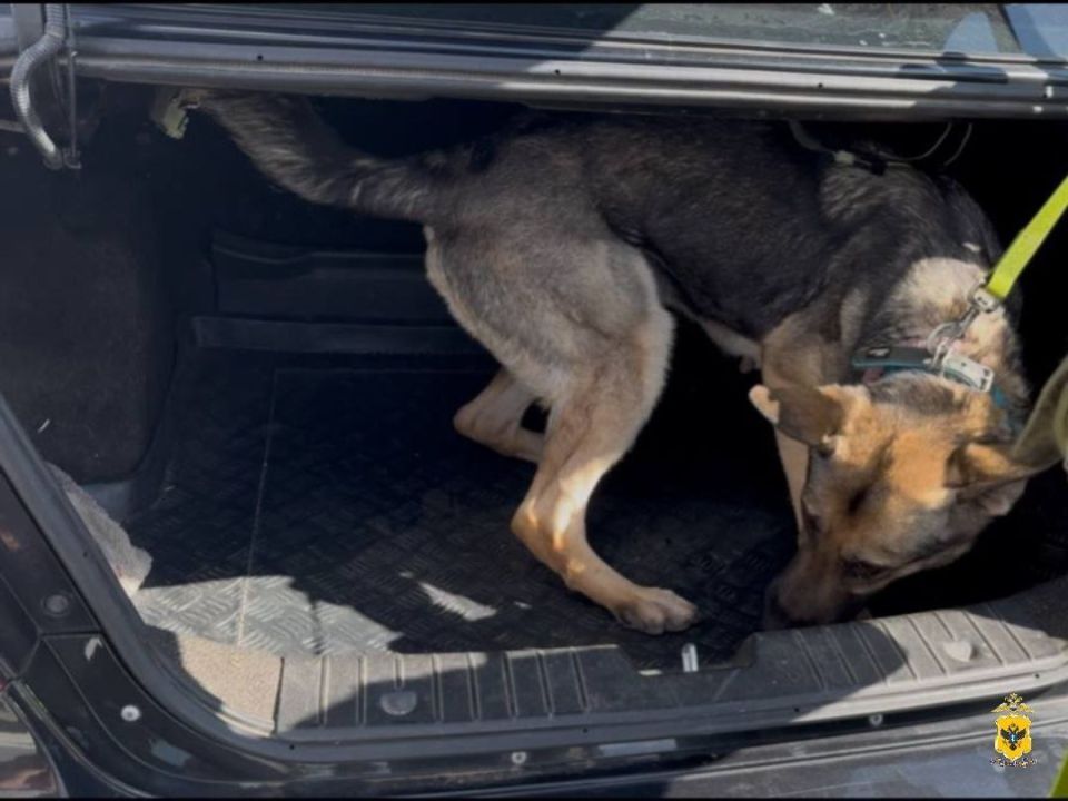 В селе Сальково у водителя и пассажира "Шевроле Авео" нашли тайники с синтетическим наркотиком В селе Сальково у водителя и пассажира "Шевроле Авео" нашли тайники с синтетическим наркотиком