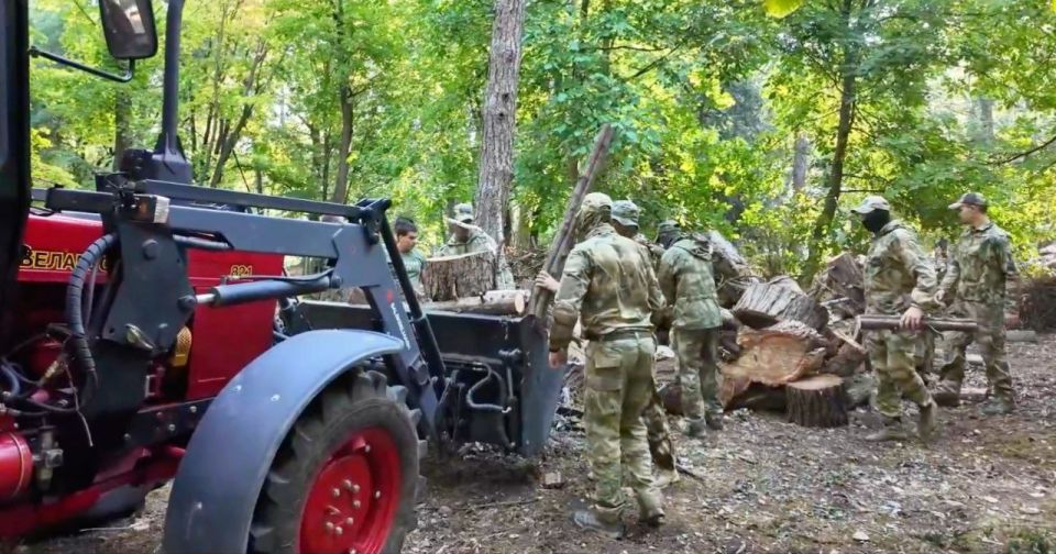 Порубочные остатки из парков Симферополя третий год передают на фронт для обогрева бойцов Порубочные остатки из парков Симферополя третий год передают на фронт для обогрева бойцов