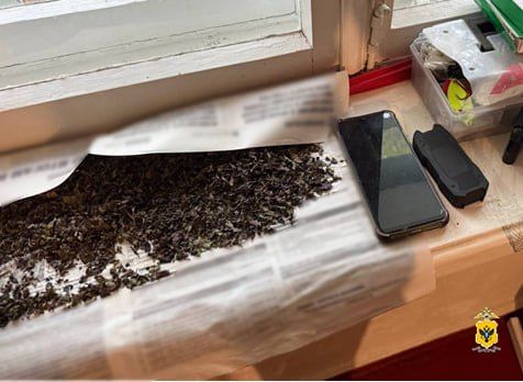 Сотрудники полиции изъяли около полутора килограмма марихуаны у жителя Новокаховского округа Сотрудники полиции изъяли около полутора килограмма марихуаны у жителя Новокаховского округа