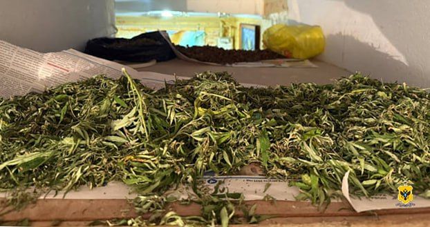 Сотрудники полиции изъяли около полутора килограмма марихуаны у жителя Новокаховского округа