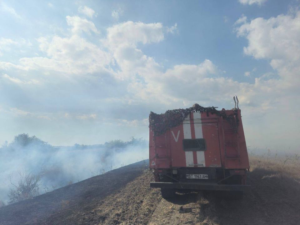 В Чулаковском лесничестве потушили пожар на площади 0,3 гектара В Чулаковском лесничестве потушили пожар на площади 0,3 гектара