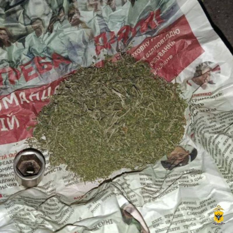 В Новотроицком округе сотрудники полиции изъяли марихуану у местного жителя