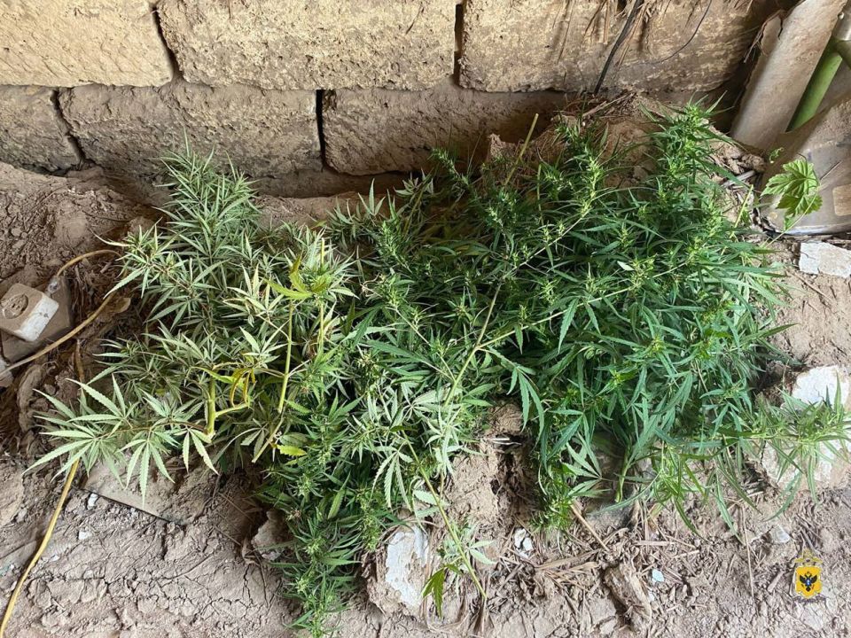 ����������� ������ � ���� ������� ������������ � ���������������� ������� ����� ��������, ������ � ��������