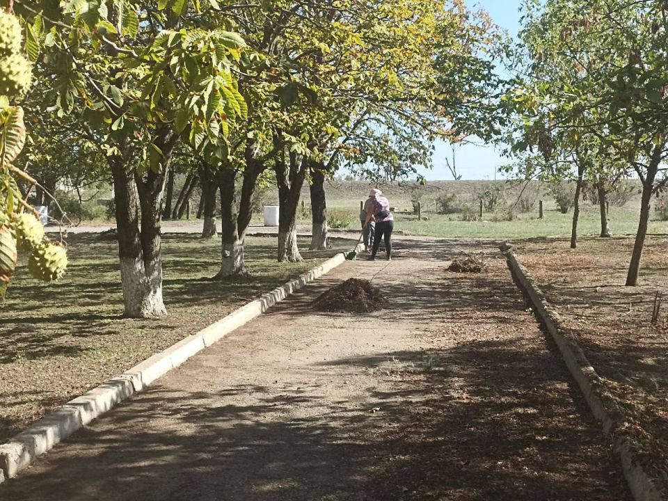 Уборка территории в селе Трофимовка! Уборка территории в селе Трофимовка!