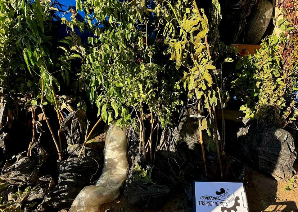 ������� �� ����������� ���������� ������� � 52 ��������� ����������� ���������� ��������!