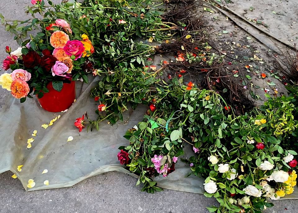 ������� �� ����������� ���������� ������� � 52 ��������� ����������� ���������� ��������!