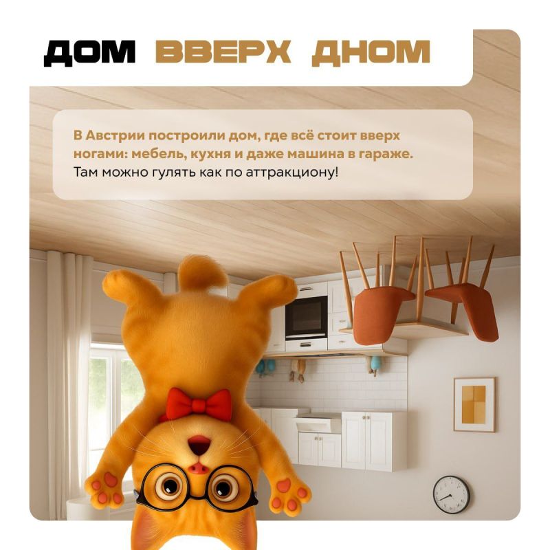 Осень — самое время для открытия удивительных фактов, от которых мир кажется чуть-чуть волшебнее Осень — самое время для открытия удивительных фактов, от которых мир кажется чуть-чуть волшебнее
