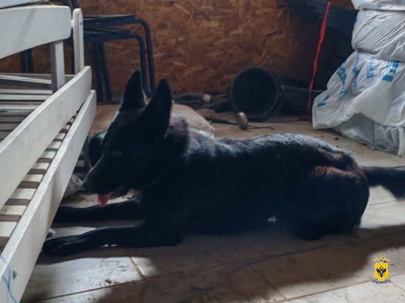 ���������� ������� ������ ��������� � ������ ����������������� ������