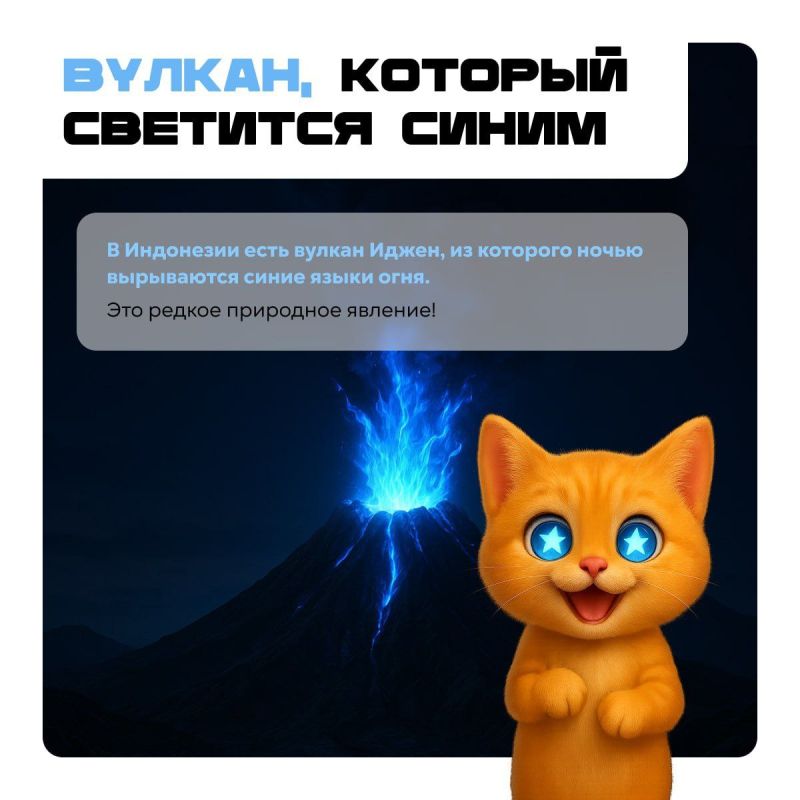 Осень — самое время для открытия удивительных фактов, от которых мир кажется чуть-чуть волшебнее Осень — самое время для открытия удивительных фактов, от которых мир кажется чуть-чуть волшебнее