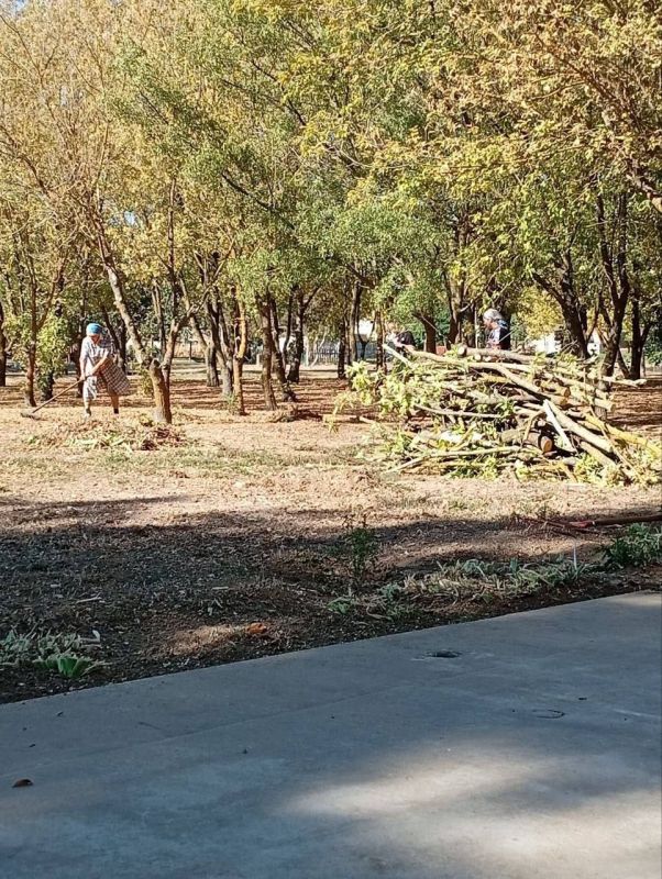 Новопавловка готовится к празднованию Дня села Новопавловка готовится к празднованию Дня села