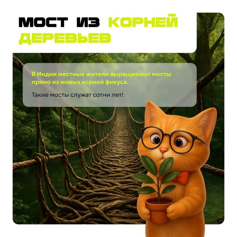 Осень — самое время для открытия удивительных фактов, от которых мир кажется чуть-чуть волшебнее Осень — самое время для открытия удивительных фактов, от которых мир кажется чуть-чуть волшебнее