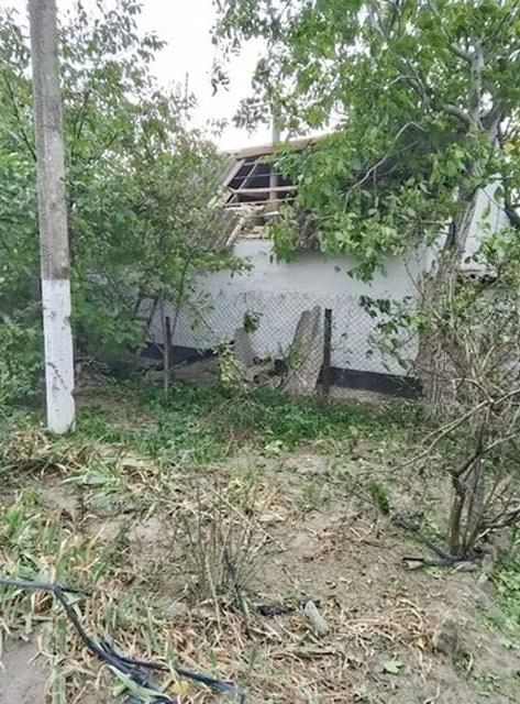 В Чулаковском лесничестве произошел пожар площадью 1,5 гектара из-за обстрела ВСУ В Чулаковском лесничестве произошел пожар площадью 1,5 гектара из-за обстрела ВСУ