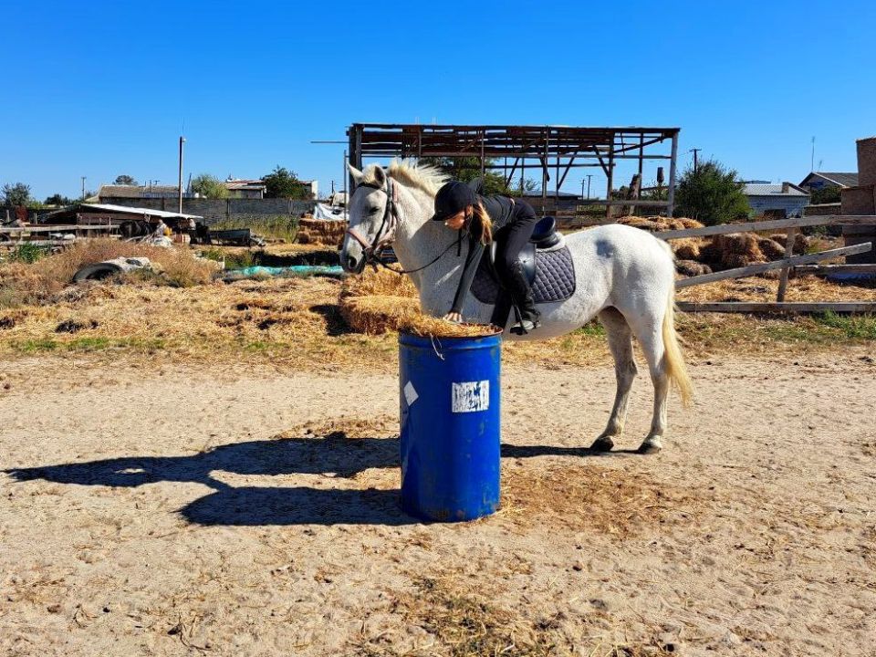 "������" � ��������: ������, �������� � ������!