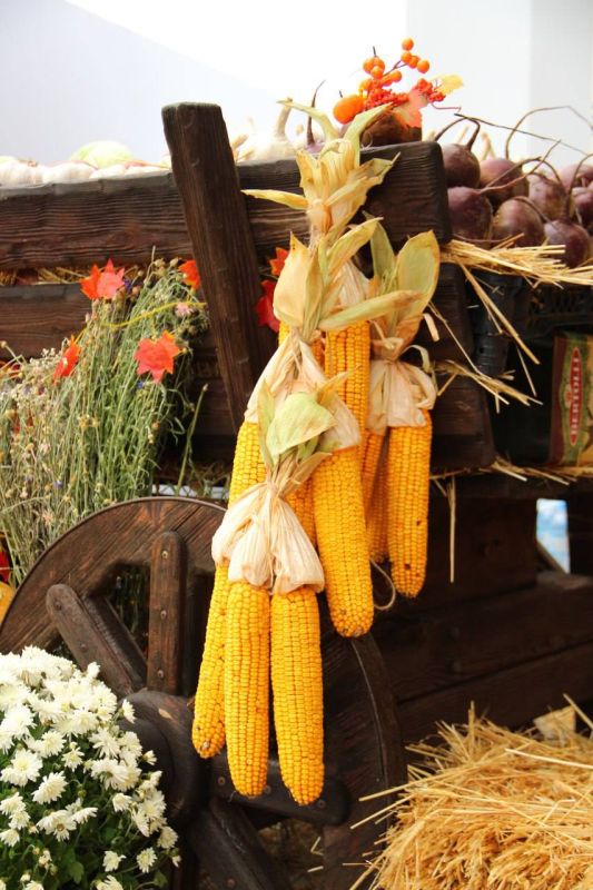 ������� ������!. ���������� ���� ��������� � ���������� ��������� ���� �������� � ������ ����� �.�.�������� ��������� � ���� ������������� ��������! ��������, �� ������ ������� ��������� ������ ������������ �����, �������...