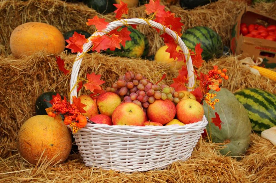 ������� ������!. ���������� ���� ��������� � ���������� ��������� ���� �������� � ������ ����� �.�.�������� ��������� � ���� ������������� ��������! ��������, �� ������ ������� ��������� ������ ������������ �����, �������...