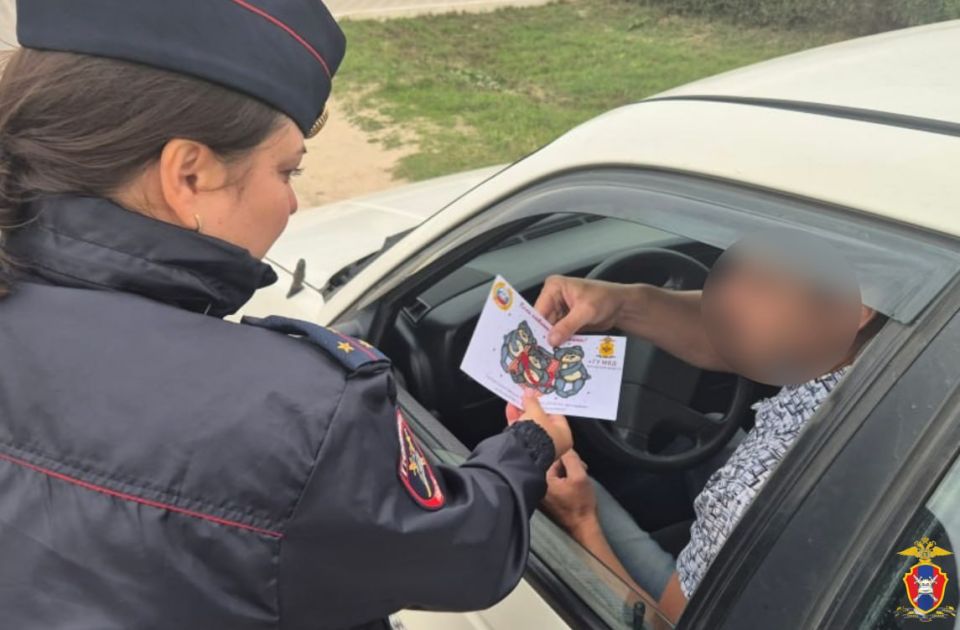Сотрудники Госавтоинспекции провели рейд "Автокресло" в Геническом округе Сотрудники Госавтоинспекции провели рейд "Автокресло" в Геническом округе