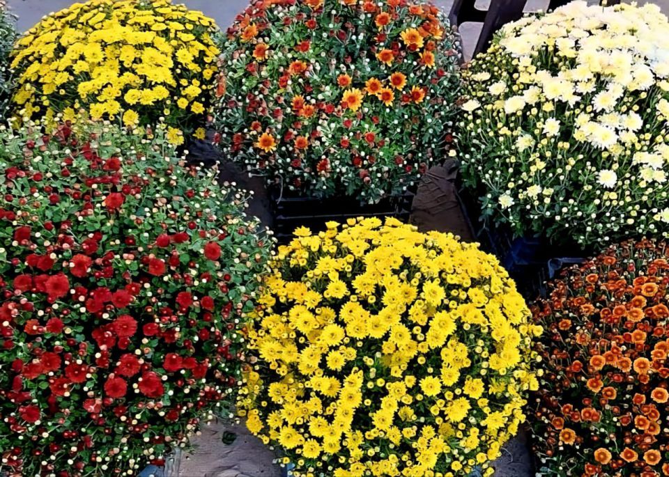 ������� �� ����������� ���������� ������� � 52 ��������� ����������� ���������� ��������!