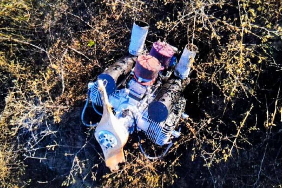 ������� ���������� ��������� ��� ������������ ��� � ���������� �������