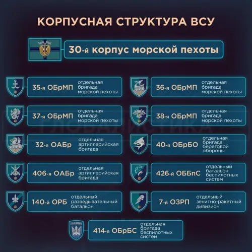 Енот из Херсона: На Украине завершилось формирование корпусной структуры Енот из Херсона: На Украине завершилось формирование корпусной структуры