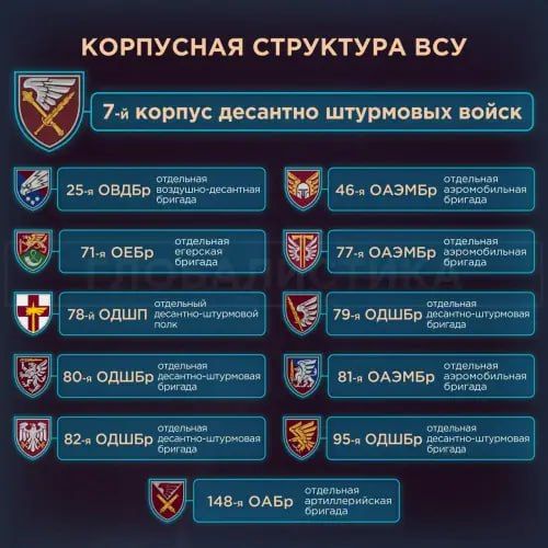 Енот из Херсона: На Украине завершилось формирование корпусной структуры Енот из Херсона: На Украине завершилось формирование корпусной структуры
