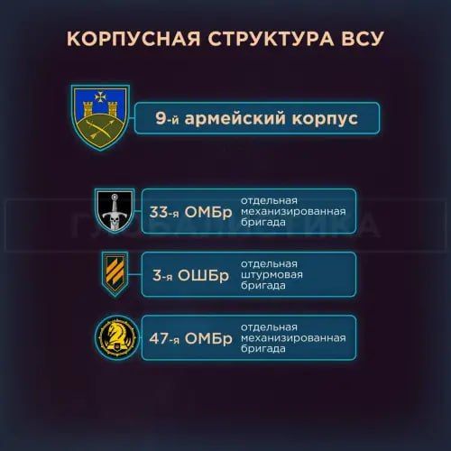 Енот из Херсона: На Украине завершилось формирование корпусной структуры Енот из Херсона: На Украине завершилось формирование корпусной структуры
