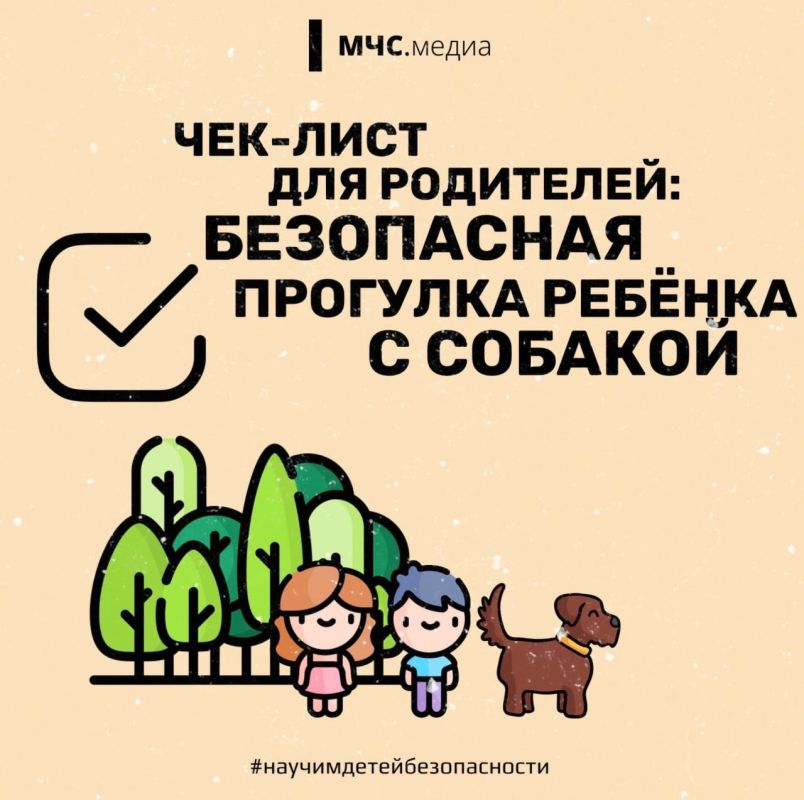Прогулки обязаны быть безопасными!