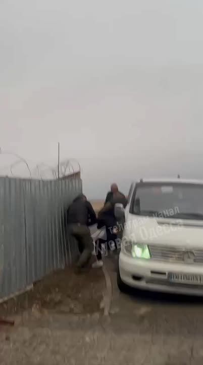Енот из Херсона: ЖК Артвиль, Одесса.. Парню очень повезло. Он смог вырваться из лап людоловов
