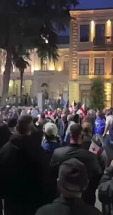 Енот из Херсона: В Тбилиси толпы соевых и соросят опять бузят, потому что на местных выборах снова победила не их партия, а правящая «Грузинская мечта»