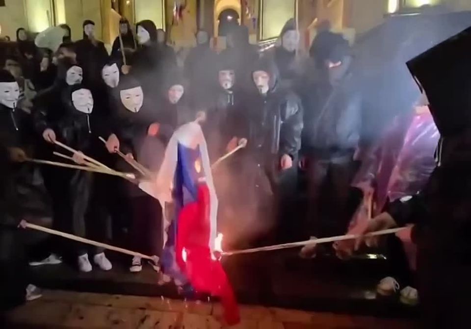 Енот из Херсона: Протестующие в Тбилиси сжигают российские флаги…