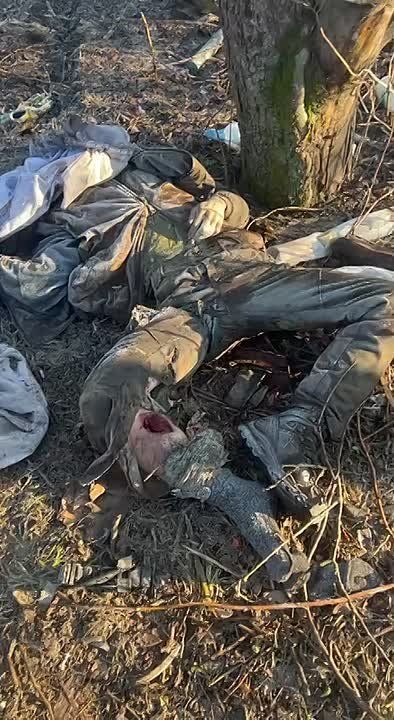 Лежат пидорги на холодной земле