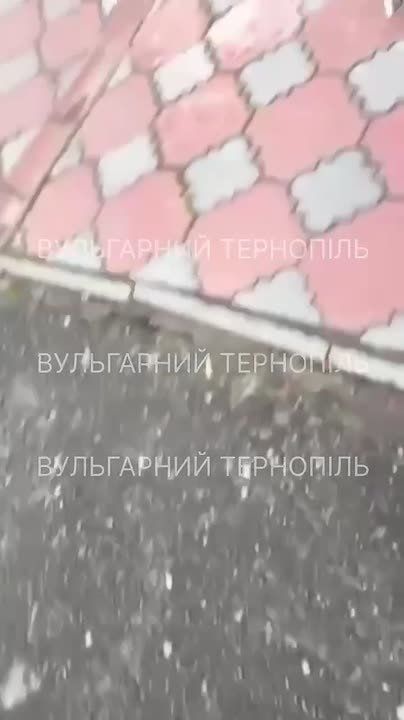 Енот из Херсона: Тернополь.. ТЦКшники в балаклавах вытянули с магазина мужика и упаковали в бус