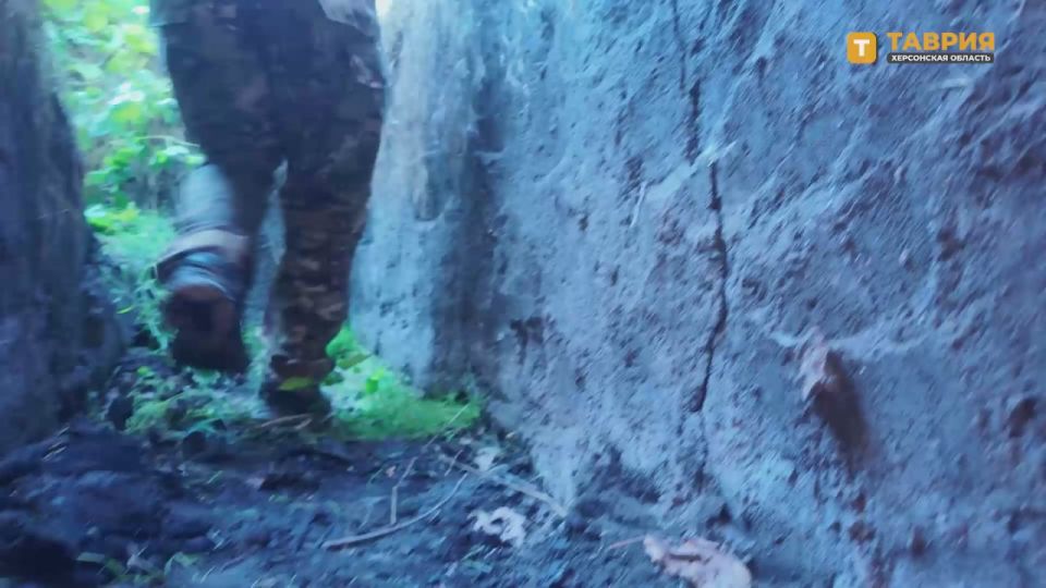 Операторы FPV-дронов группировки войск "Днепр" уничтожили боевую бронированную машину и экипаж противника в зоне спецоперации