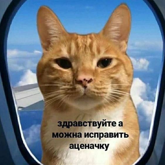 Сосиска в тесте или пицца на двадцатиминутке, разрывающий душу звонок на урок (особенно когда не сделал домашку) Сосиска в тесте или пицца на двадцатиминутке, разрывающий душу звонок на урок (особенно когда не сделал домашку)