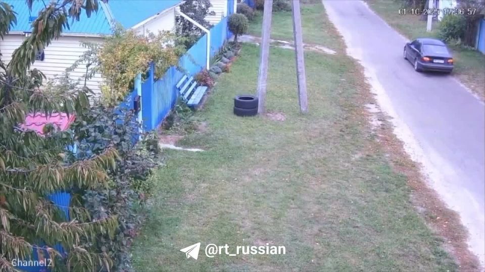 Тцк "призвали" кота: украли на улице и увезли в неизвестном направлении