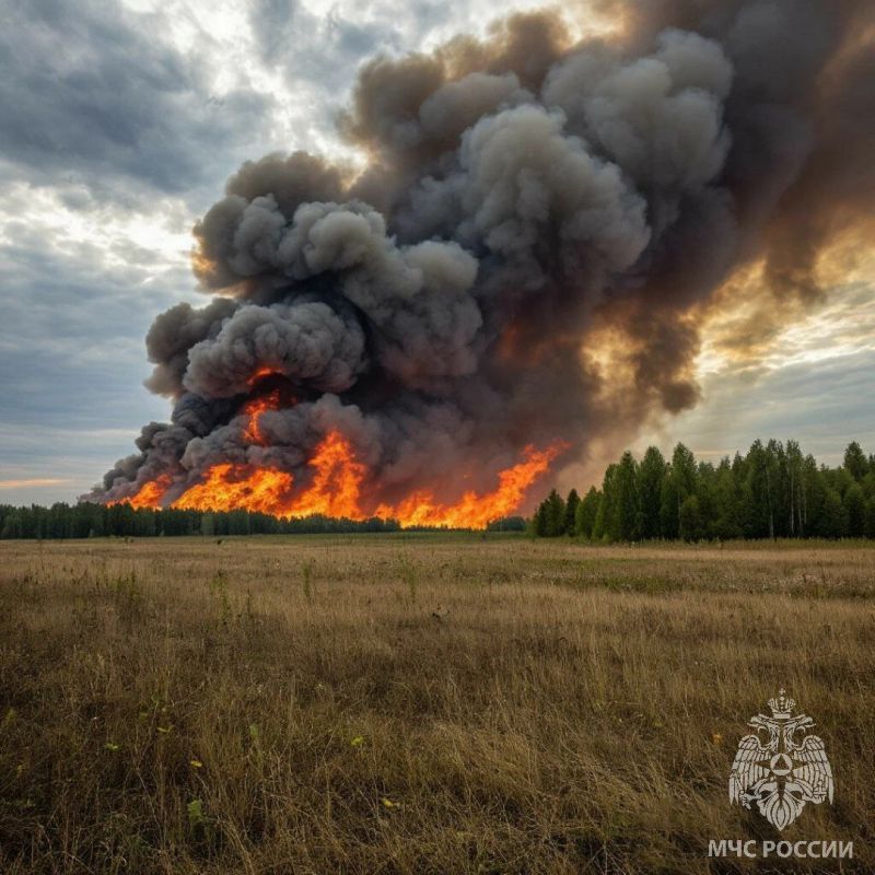 Не будь поджигателем. МЧС России напоминает, что за нарушения требований пожарной безопасности предусмотрена административная ответственность в виде предупреждения или штрафов: для граждан от 5 000 до 15 000 рублей;